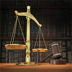 2021 Trial Advocacy Program