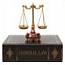Criminal Law Section