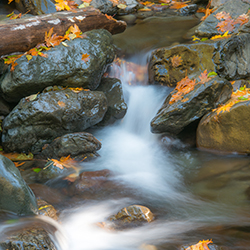 The Battle Over Clean Water Act Section 401: An In-the-Trenches View of the (never ending) Litigation and Rulemaking