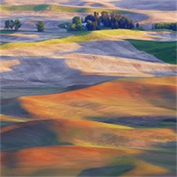 The Rural Practice Shortage in Washington and the WSBA’s Response