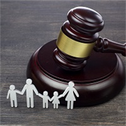 Early Family Mediation (Legal Lunchbox™ Series)