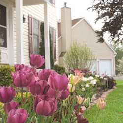 Real Property – Spring CLE