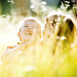 2024 Family Law Midyear Conference – All Tracks