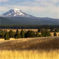 2025 Environmental and Land Use Law Section Midyear Meeting & Conference