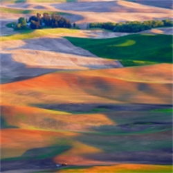 The 2025 Real Property, Probate and Trust Section Midyear Conference: Probate and Trust Track