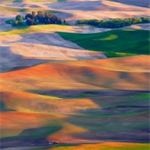 The 2025 Real Property, Probate and Trust Section Midyear Conference: Probate and Trust Track