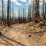 Advice in Preparing for Disasters – Understanding the Impact of Casualty and Insurance Provisions in Leases