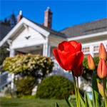 Real Property – Spring Refresh