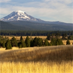 Environmental Justice and Indigenous Law in Washington State