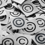 The 31st Annual Intellectual Property Institute 