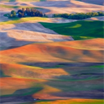 The 2026 Real Property, Probate and Trust Section Midyear Meeting & Conference 