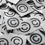 The 31st Annual Intellectual Property Institute
