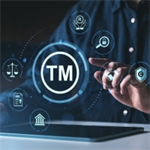 Protecting Your Trademarks and Copyrights in a Digital World 