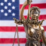 Constitutional Limits on Executive Power (Legal Lunchbox™ Series)
